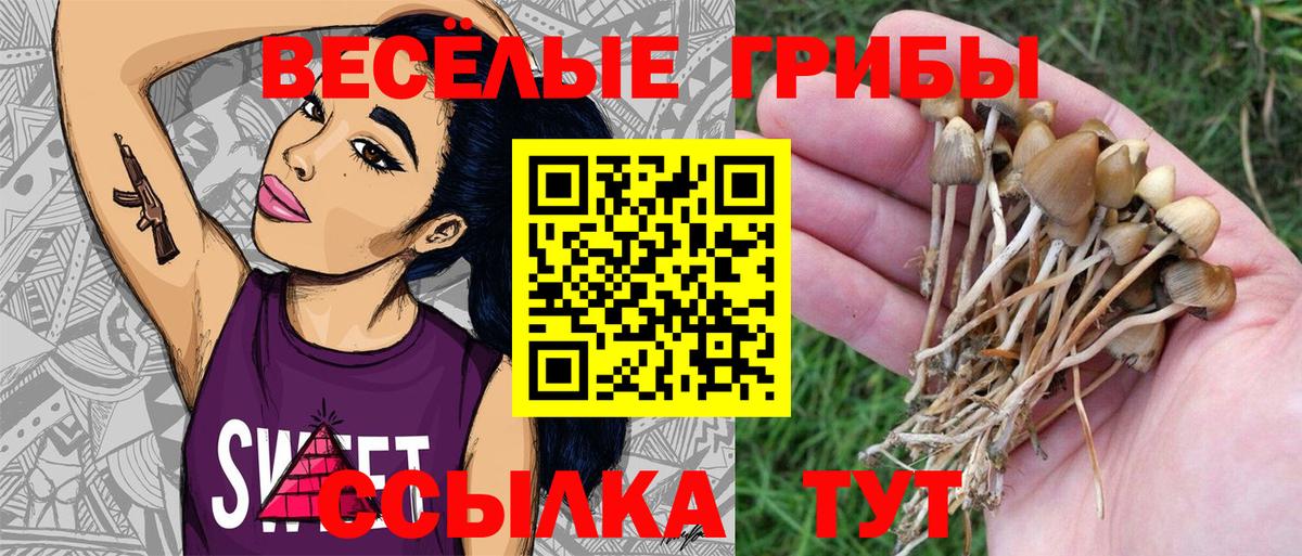 Галлюциногенные грибы Cubensis Верхний Уфалей